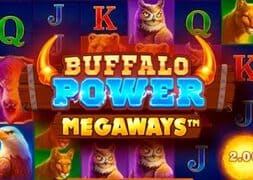 Buffalo Power Megaways