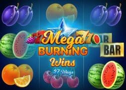 Mega Burning Wins